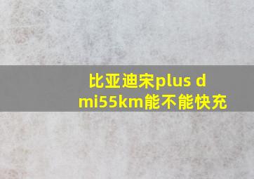 比亚迪宋plus dmi55km能不能快充